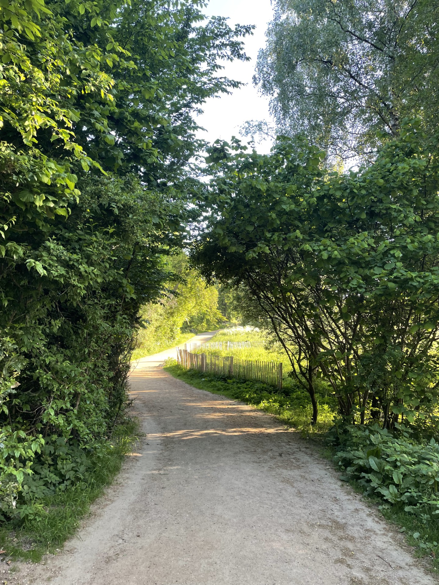 Bernstorffsparken